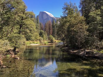 Scenic view of lake in forest against sky