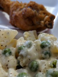 Close-up of food served in plate