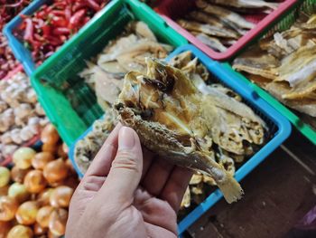 Close-up of person holding salted fish