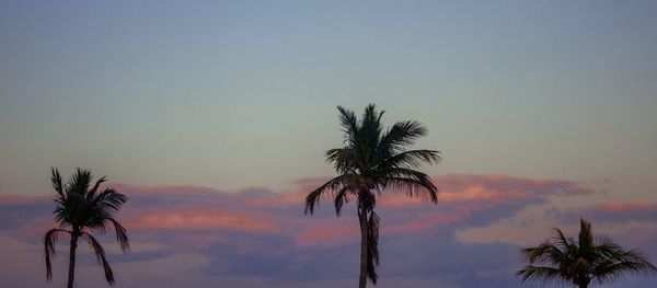 Silhouette palm trees against sky during sunset