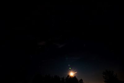 Low angle view of silhouette trees against sky at night