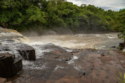 Scenic view of waterfall in forest