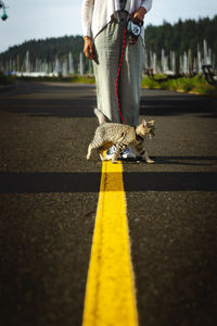 Low section of man standing on road