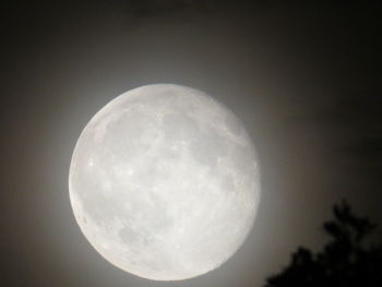 Low angle view of moon against sky at night