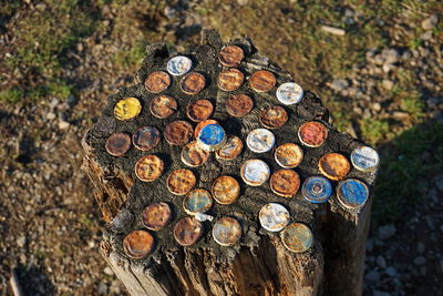 High angle view of old bottle caps on tree stump