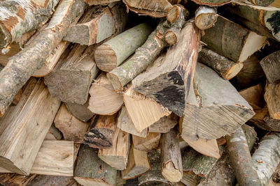 Full frame shot of logs in forest