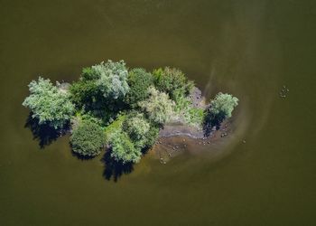 High angle view of island in a lake with water birds