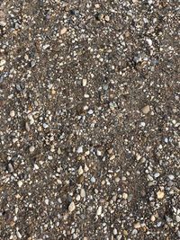 Full frame shot of pebbles on beach