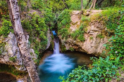 High angle view of waterfall in forest