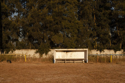 Bench on field by trees