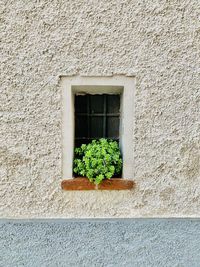 Low angle view of small window on wall