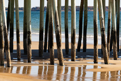 Wooden posts on beach against sky