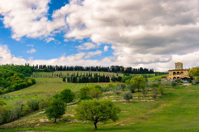 Trees on landscape against cloudy sky