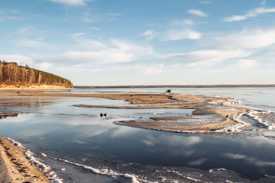 Seashore in winter with ice