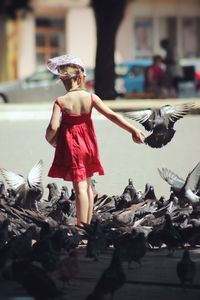 Girl standing amidst pigeons on road