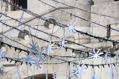 Close-up of barbed wire fence during winter