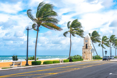 Palm trees by street against sky