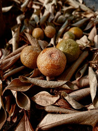 Close-up of fruits