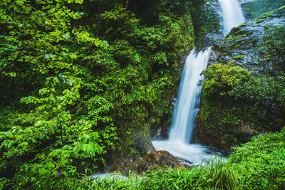 View of waterfall in forest