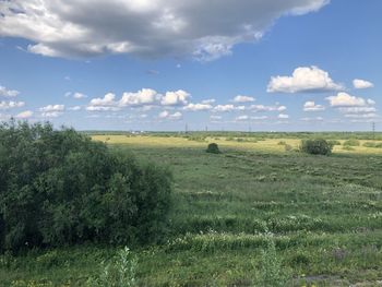 Scenic view of grassy field against sky