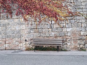 bench