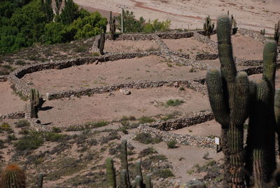 View of old ruin on field