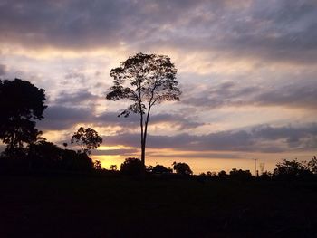 Silhouette tree against dramatic sky during sunset