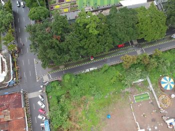 High angle view of street amidst trees in city