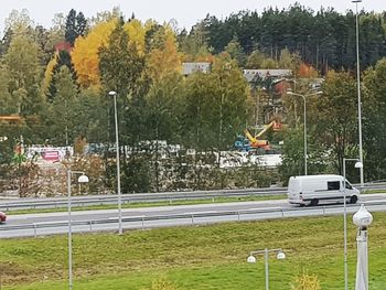 Plants growing by road against trees