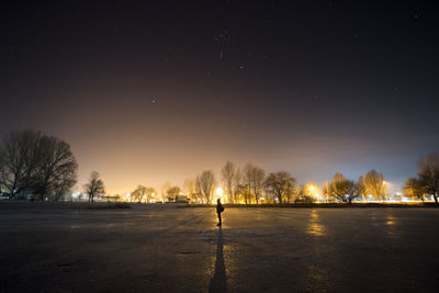View of trees against sky at night