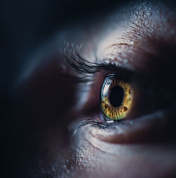 Close-up of human eye looking away 