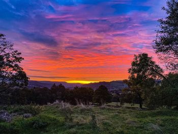 Scenic view of field against sky during sunset