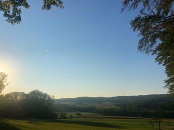 Scenic view of field against clear sky