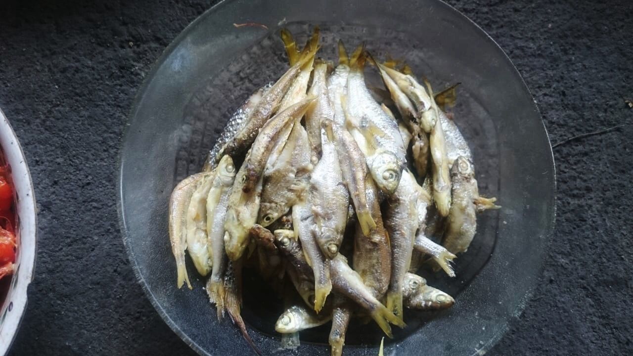 HIGH ANGLE VIEW OF FISH IN PAN