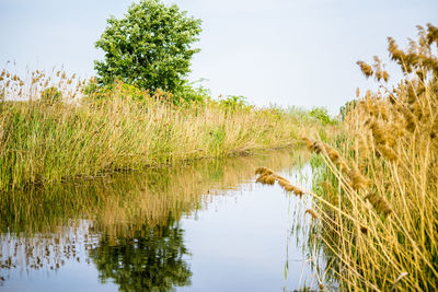 Scenic view of lake against sky