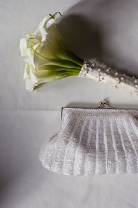 High angle view of white rose