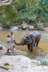 Elephant drinking water