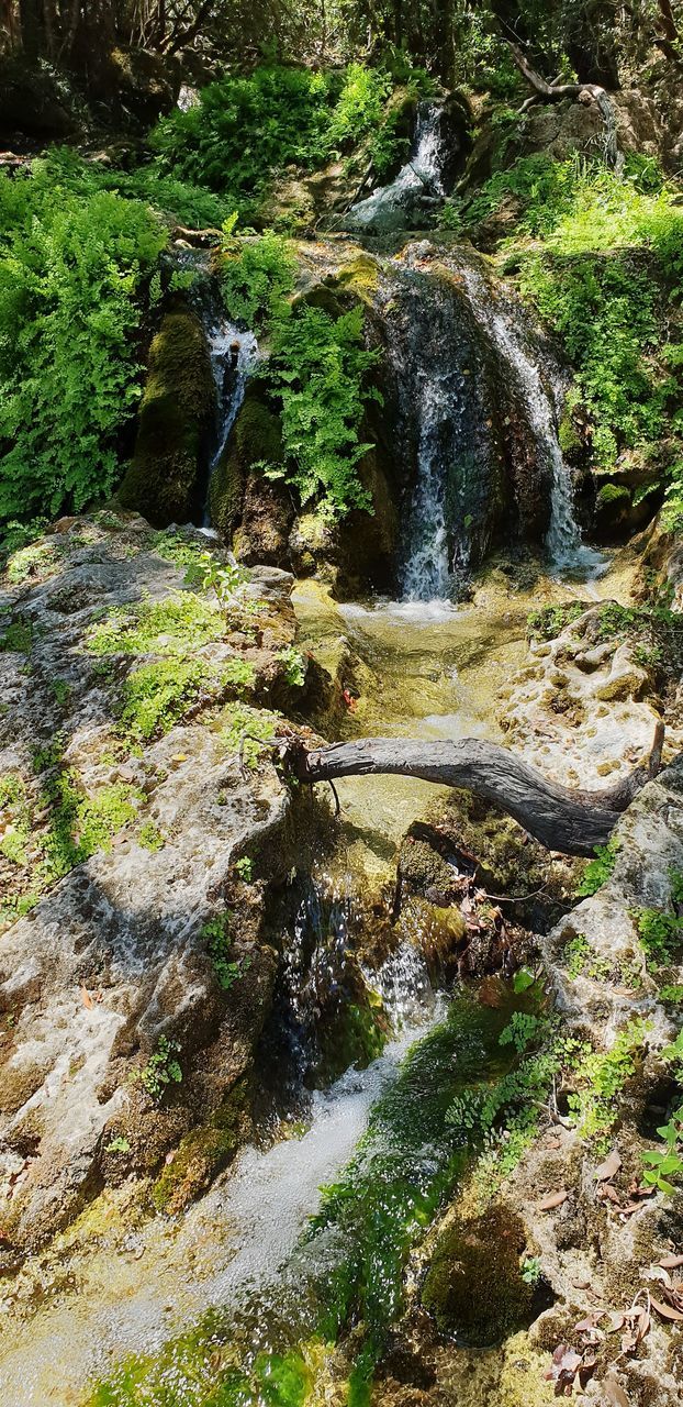 water, flowing water, scenics - nature, rock, beauty in nature, forest, waterfall, plant, flowing, rock - object, solid, tree, nature, motion, blurred motion, land, no people, long exposure, growth, outdoors, stream - flowing water, power in nature, falling water