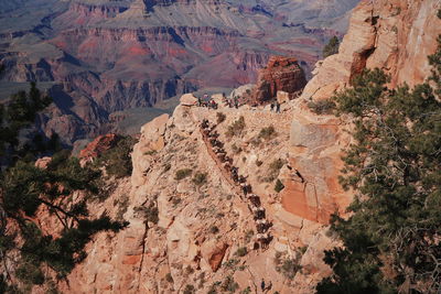 High angle view of rock formations and mules in grand canyon