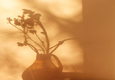 Close-up of flower vase on table