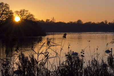 Scenic view of lake during sunset