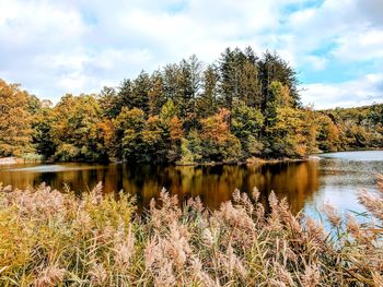 Scenic view of lake by trees against sky