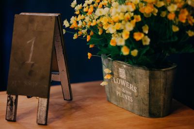 Close-up of potted plant on table