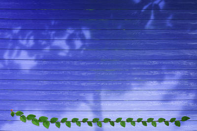 Full frame shot of textured wall