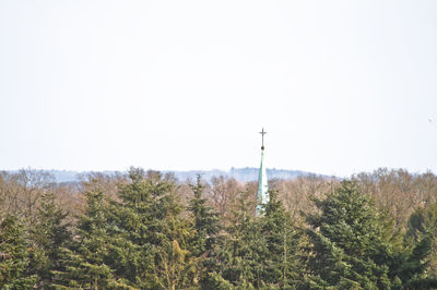 Trees on landscape against clear sky