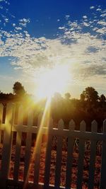 Sun shining through trees on landscape