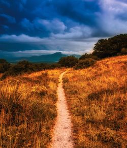 Dirt road amidst field against sky