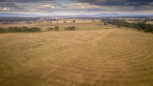 High angle view of trees on field against sky