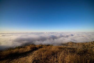 Scenic view of landscape against blue sky