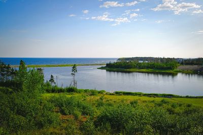 Scenic view of lake and green landscape against sky